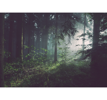 Fotomural naturaleza paisaje de bosque verdeante - TenVinilo