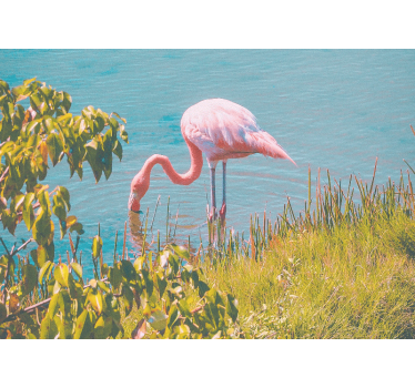 Fotomural animales serenidad del flamenco rosa - TenVinilo