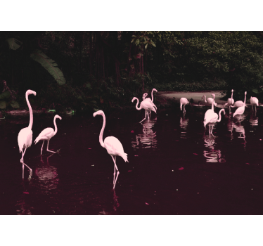 Fotomural despacho reunión de flamencos elegantes - TenVinilo