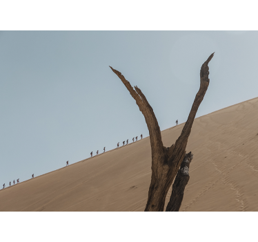 Fotomural desierto silueta de excursionistas en las dunas - TenVinilo