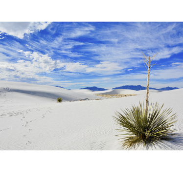 Papel pintado paisaje vista del desierto - TenVinilo