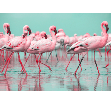 Fotomural animales paseo de flamencos - TenVinilo