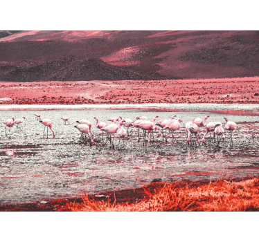 Fotomural animal escena de hábitat de flamencos - TenVinilo