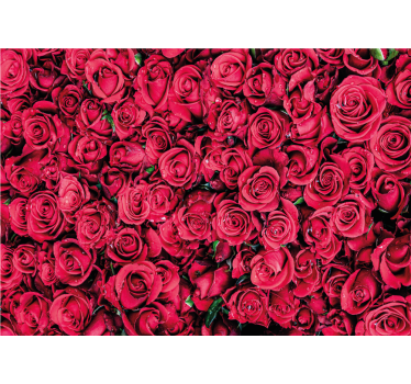 Fotomural rosas flores de rosa vibrantes - TenVinilo