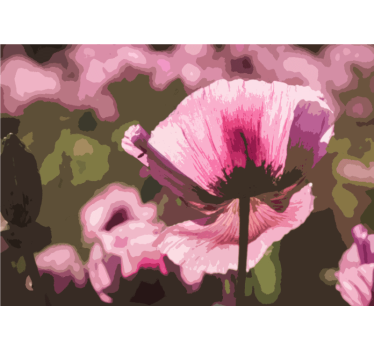 Fotomural de amapolas flor de amapola rosa - TenVinilo