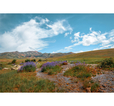 Fotomural naturaleza paisaje de pradera sereno - TenVinilo