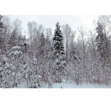 Fotomural bosque escena de bosque invernal - TenVinilo