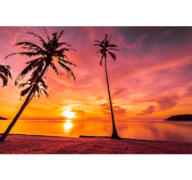 Fotomural naturaleza vista del atardecer tropical - TenVinilo