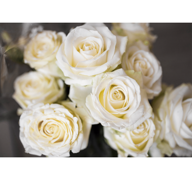 Mural de pared flores rosas blancas elegantes - TenVinilo