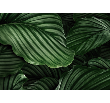 Fotomural naturaleza hojas verdes lujuriosas - TenVinilo