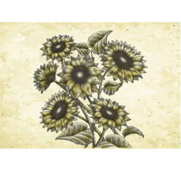 Mural de pared flores composición floral de girasoles - TenVinilo