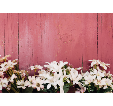 Mural de pared flores flores blancas delicadas - TenVinilo