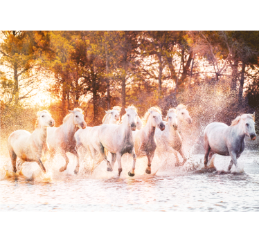 Fotomural animales caballos majestuosos corriendo - TenVinilo