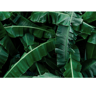 Fotomural naturaleza follaje verde vibrante - TenVinilo