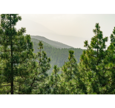 Fotomural naturaleza paisaje de vegetación exuberante - TenVinilo