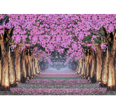 Mural de pared flores sendero de flores de cerezo - TenVinilo