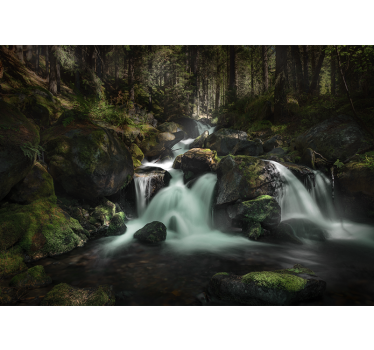 Fotomural cascada arroyo del bosque tranquilo - TenVinilo