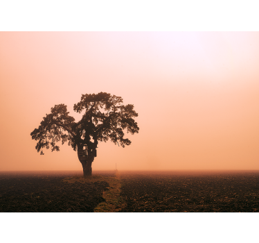 Fotomural africano majestuoso árbol de sabana - TenVinilo