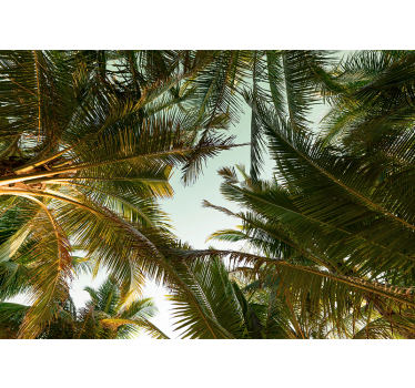 Fotomural naturaleza dosel de palmeras tropicales - TenVinilo