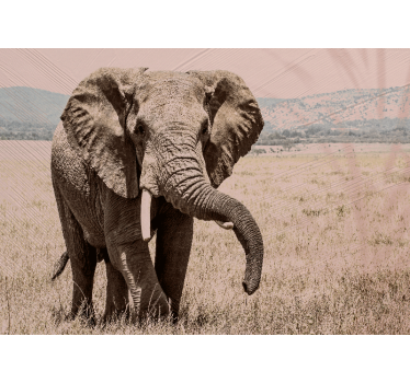 Fotomural animal elefante regal aura - TenVinilo