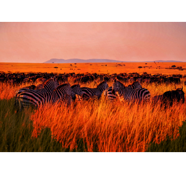 Papel pintado naturaleza zebras en el serengeti - TenVinilo
