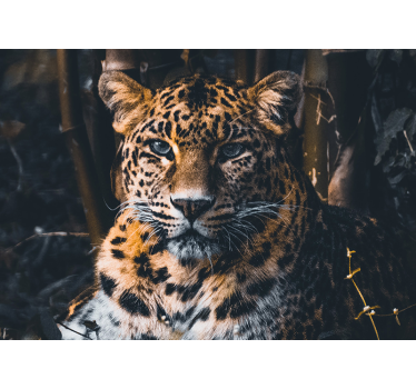 Fotomurales africanos Impresionante leopardo de vida silvestre - TenVinilo