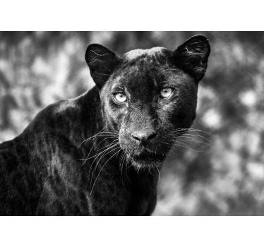 Fotomural animales cara de pantera negra - TenVinilo