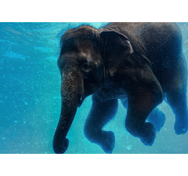 Fotomural mar elefante submarino - TenVinilo