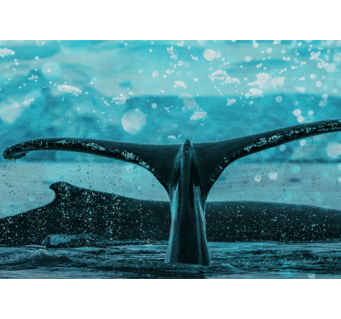 Fotomural animales aleta de ballena salpicando - TenVinilo