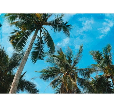 Fotomural naturaleza palmera y cielo - TenVinilo