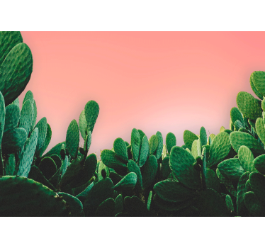 Fotomural naturaleza paisaje de cactus - TenVinilo