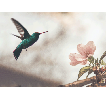 Fotomural animales colibrí y flor - TenVinilo