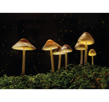 Fotomural naturaleza escena de hongos brillantes - TenVinilo