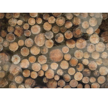 Fotomural texturas arreglo de troncos de madera - TenVinilo