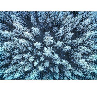 Fotomural naturaleza bosque de pinos congelados - TenVinilo