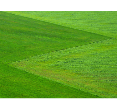 Fotomural naturaleza campos verdes puros - TenVinilo