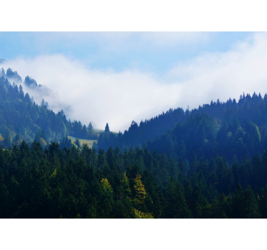 Fotomural naturaleza montañas y niebla - TenVinilo