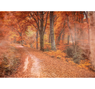 Papel pintado naturaleza sendero de otoño - TenVinilo