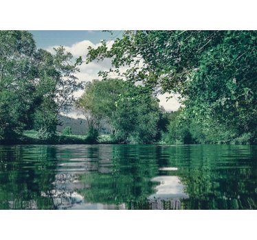 Fotomural naturaleza paisaje de río tranquilo - TenVinilo