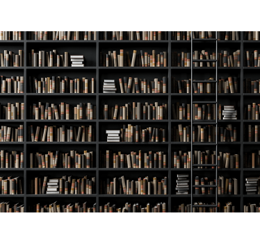 Mural de pared piedra colección de libros - TenVinilo