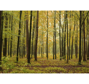 Fotomural bosque paisaje de otoño - TenVinilo