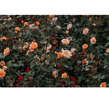 Mural de pared flores rosas en flor - TenVinilo