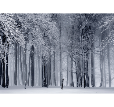 Fotomural bosque paisaje de arboles nevados - TenVinilo