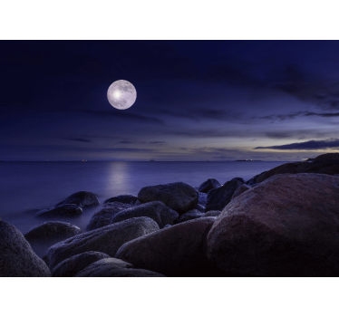 Fotomural cielo paisaje marino iluminado lunar - TenVinilo
