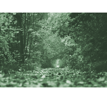 Fotomural bosque camino frondoso del bosque - TenVinilo