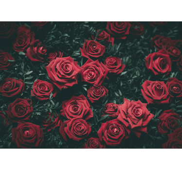 Fotomural rosas Rosas rojas brillantes - TenVinilo