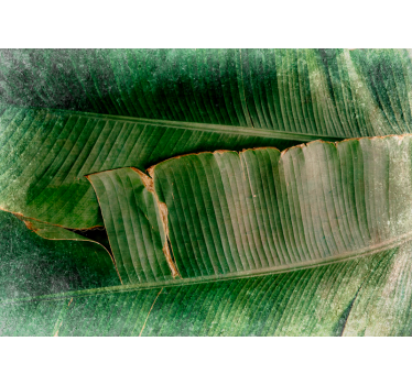 Fotomural naturaleza capas de follaje vibrante - TenVinilo