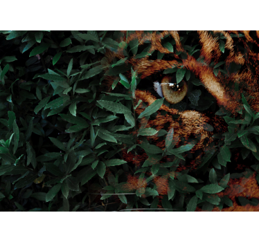 Fotomural animales leopardo entre el follaje - TenVinilo