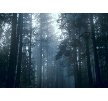 Papel pintado bosque bosques de pino nebuloso - TenVinilo