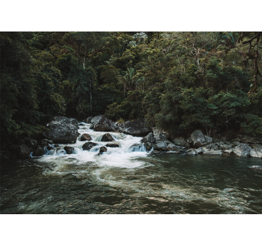 Fotomural naturaleza escena serena del río - TenVinilo